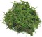 Fake Moss for Centerpieces Decor, Aftificial Green Moss for Plant Crafts Flower, 3.5oz